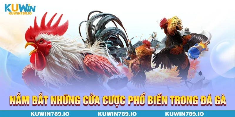 Nắm bắt những cửa cược phổ biến trong đá gà