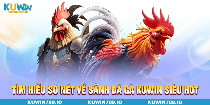 Tìm hiểu sơ nét về sảnh đá gà KUWIN siêu hot