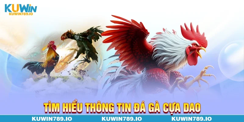 Tìm hiểu thông tin đá gà cựa dao