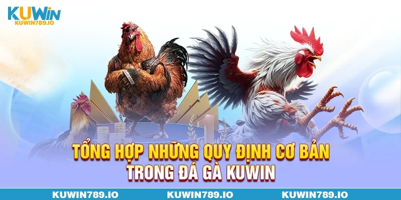 Tổng hợp những quy định cơ bản trong đá gà KUWIN